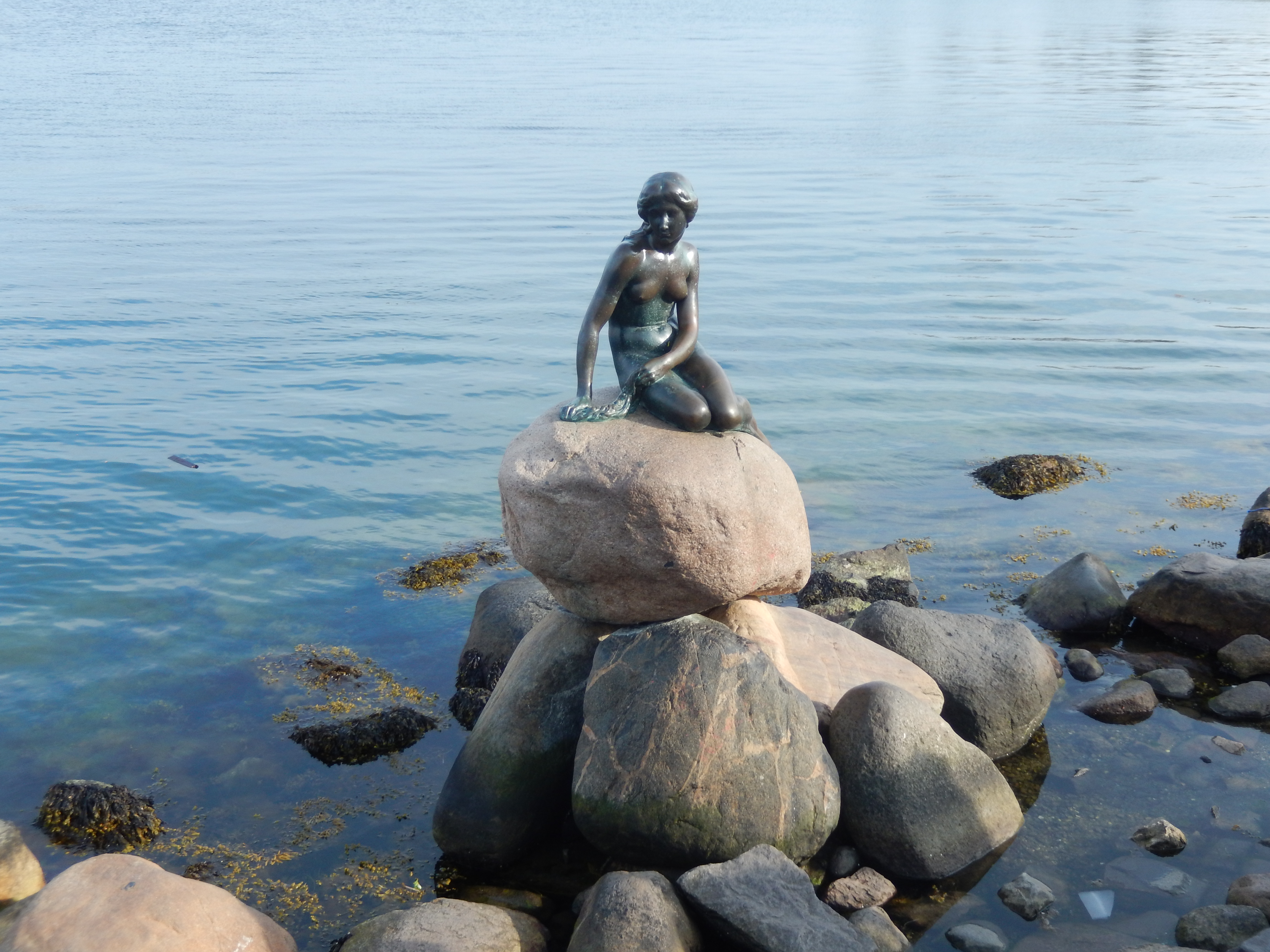 2014 copenhague 1