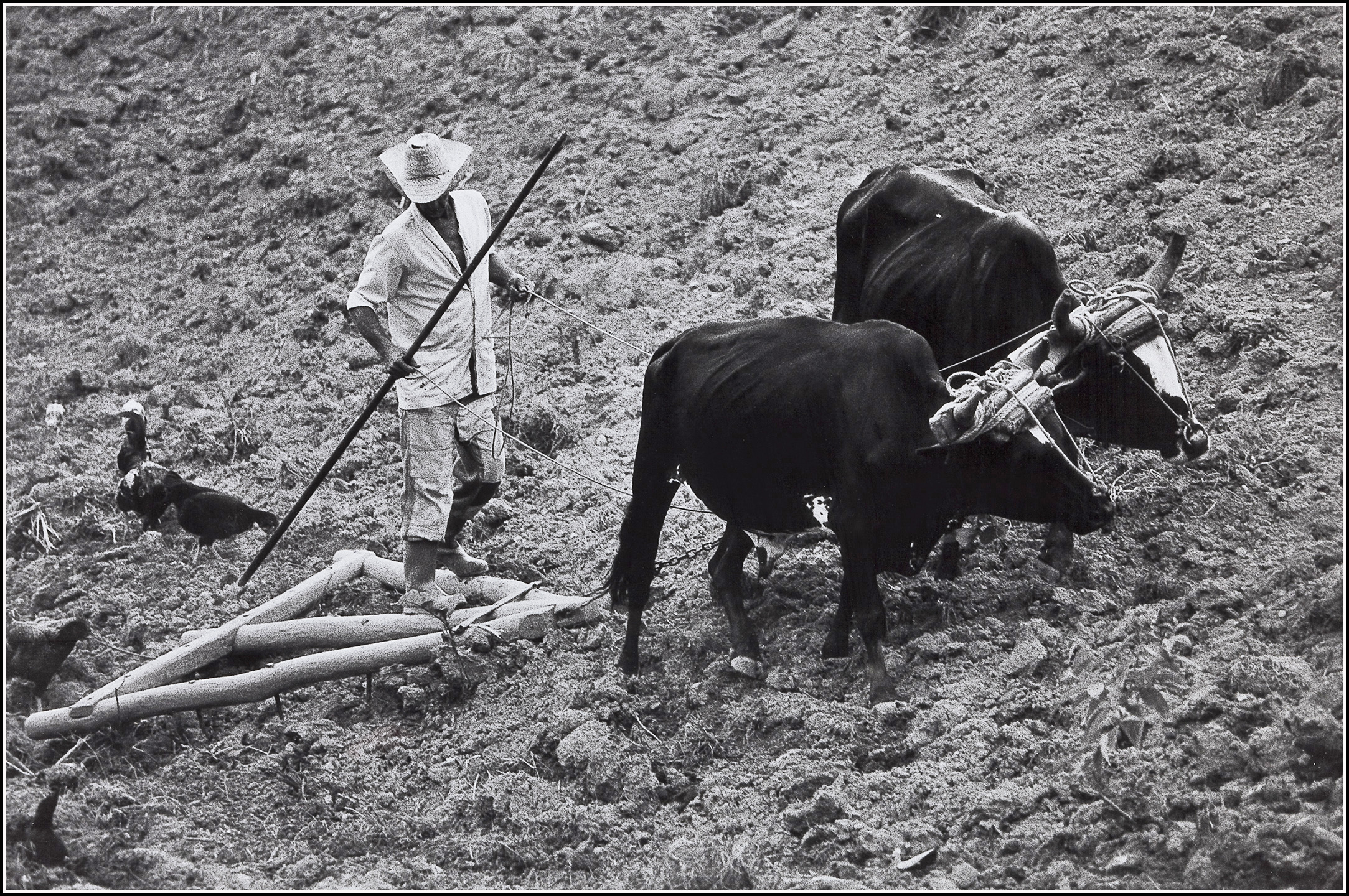 Agriculteur cuba