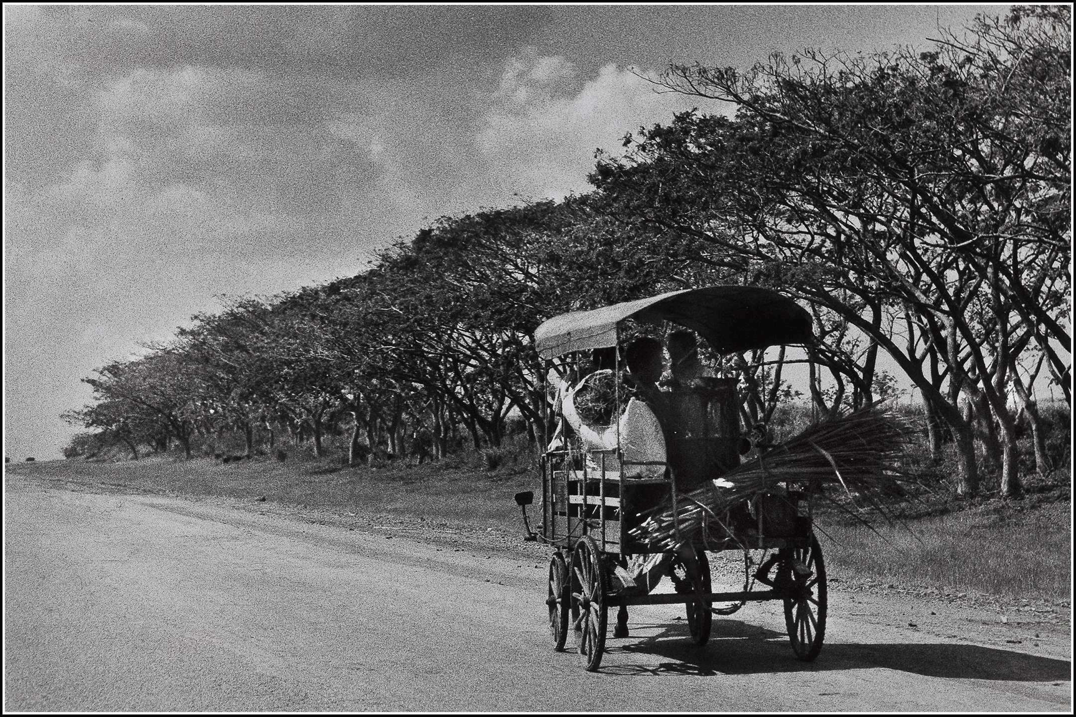 Charette cuba