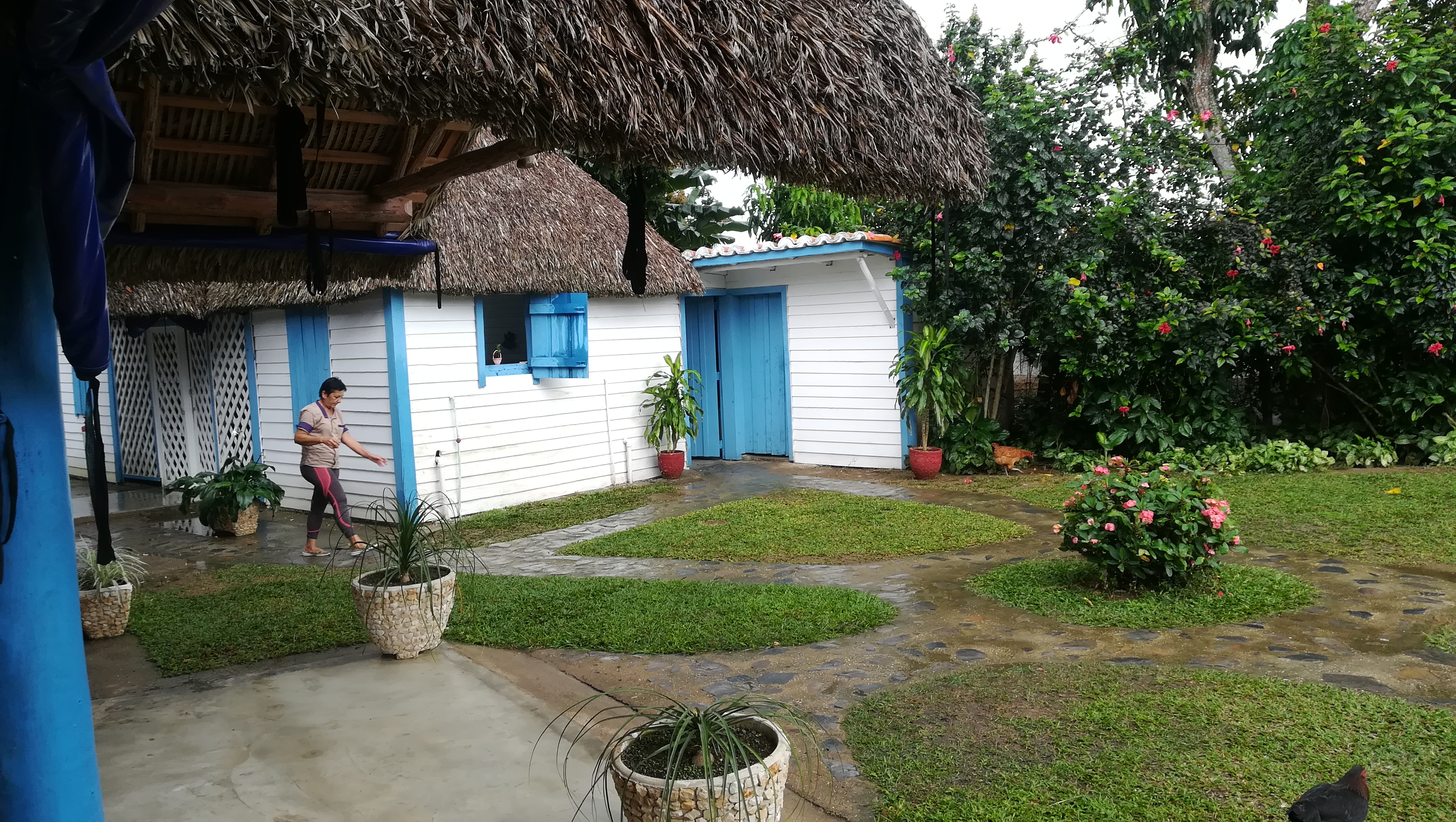 Img 20180129 151317