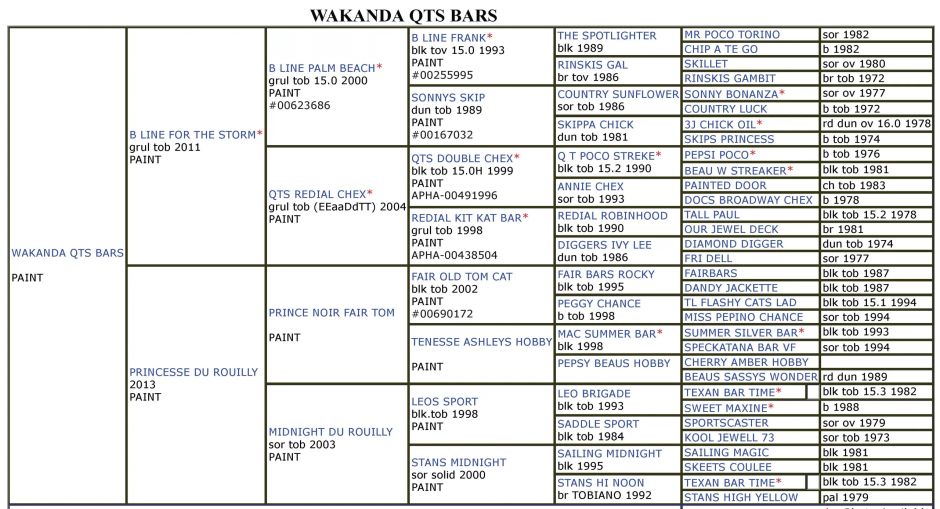 Wakanda-Qts-Bars-Paint