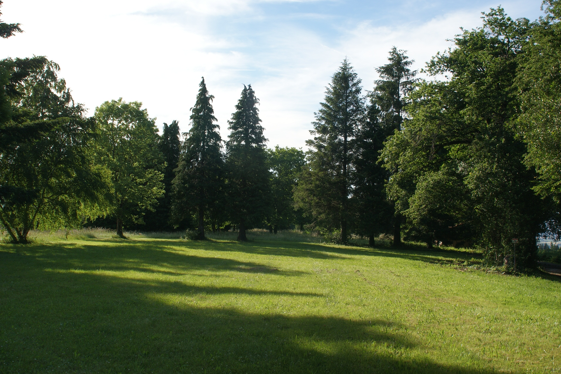 DSC04193
