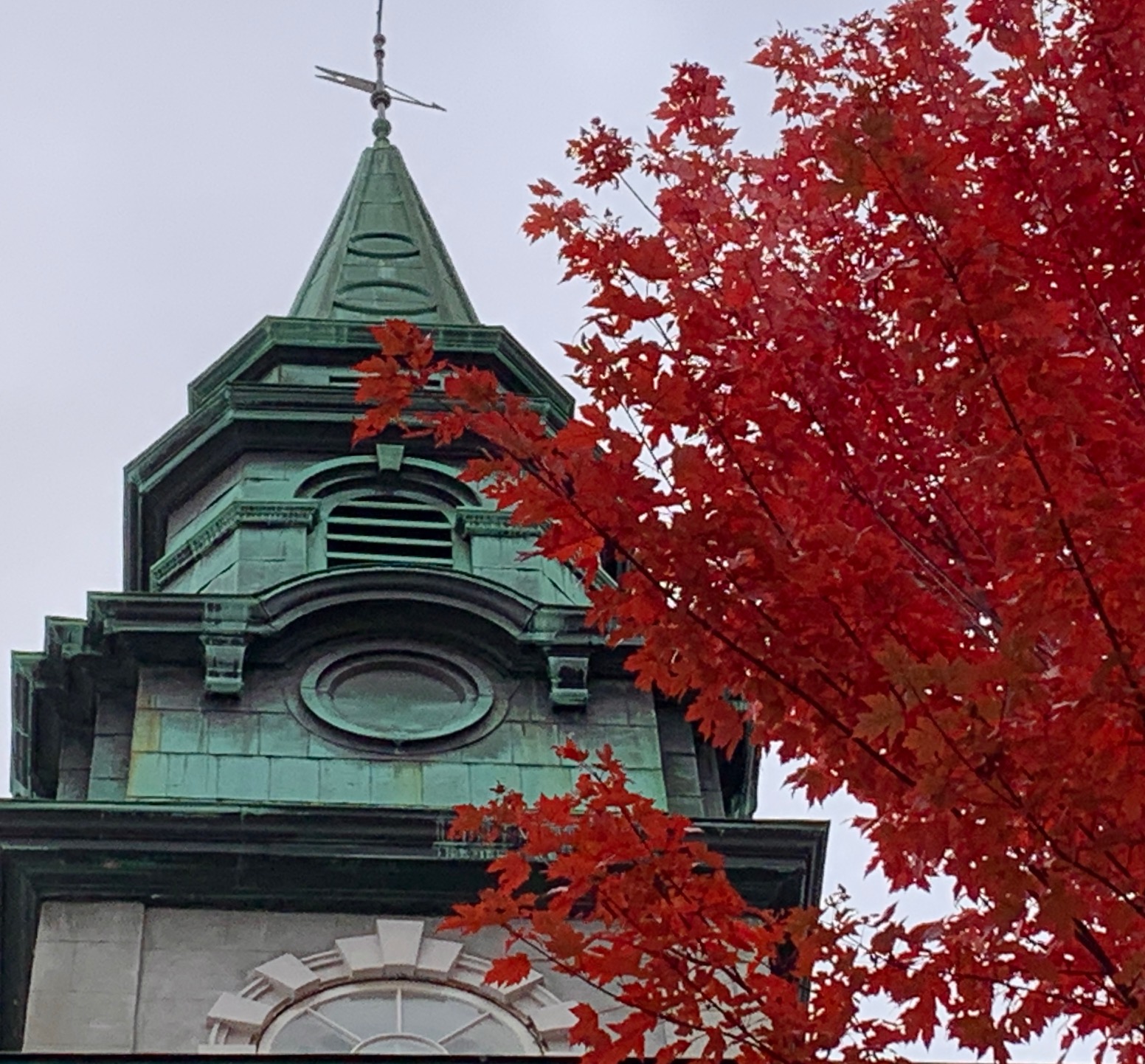 2026 10 18 red tree congr children 18