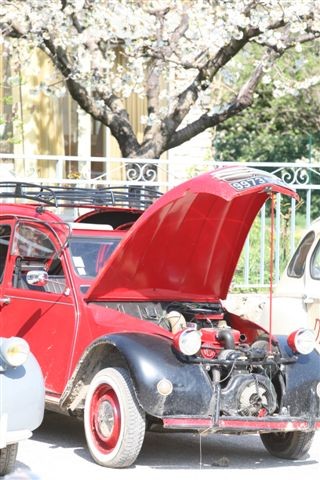 2cv stmartin 052
