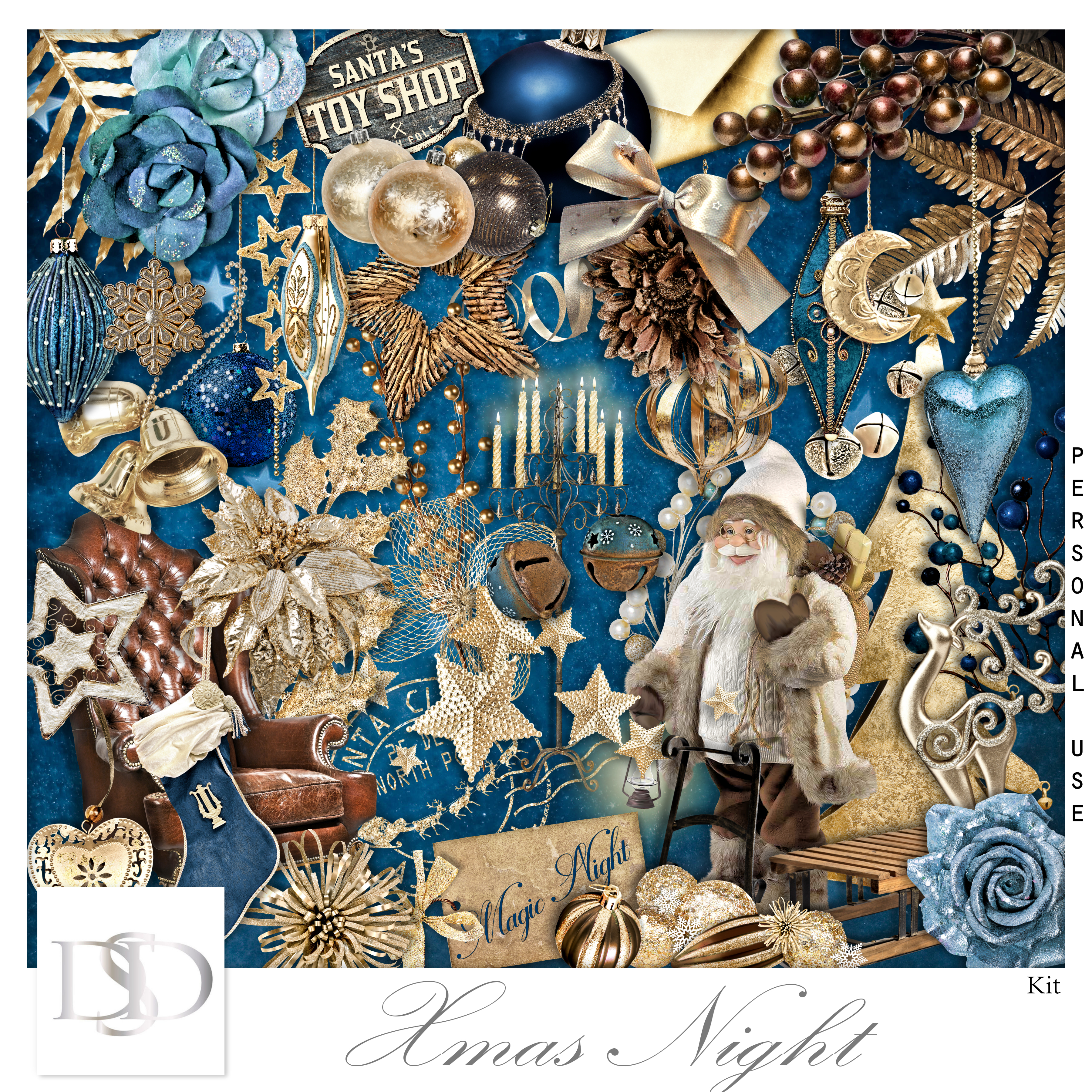 Dsd xmasnight