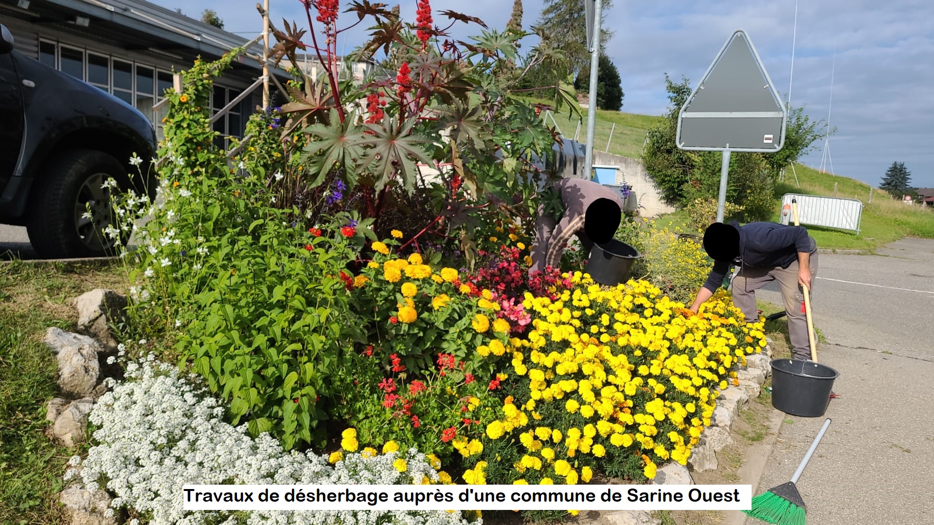 Inkednettoyage et desherbage de plates bandes li