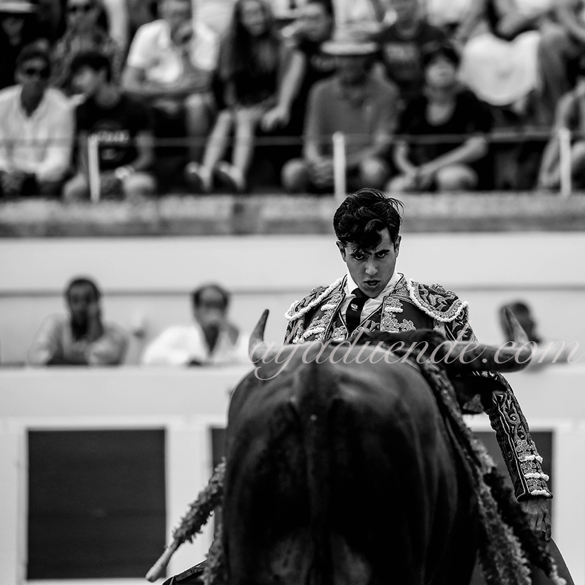 Alfaduende p58a0510 beziers 03 copie