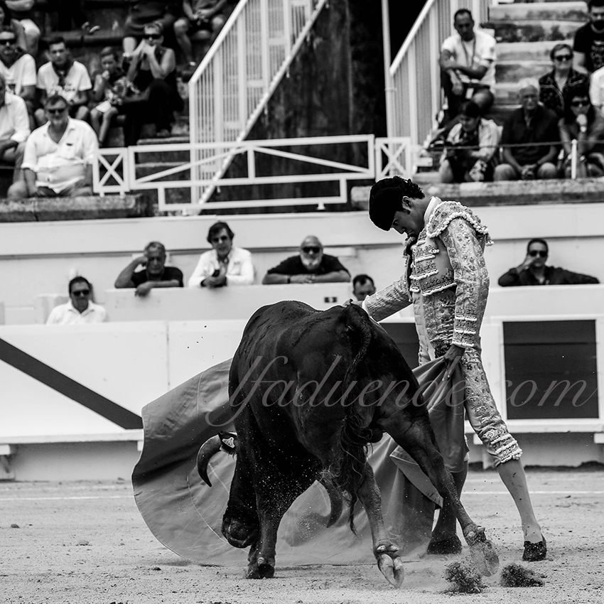 Alfaduende p58a0631 beziers 05 copie