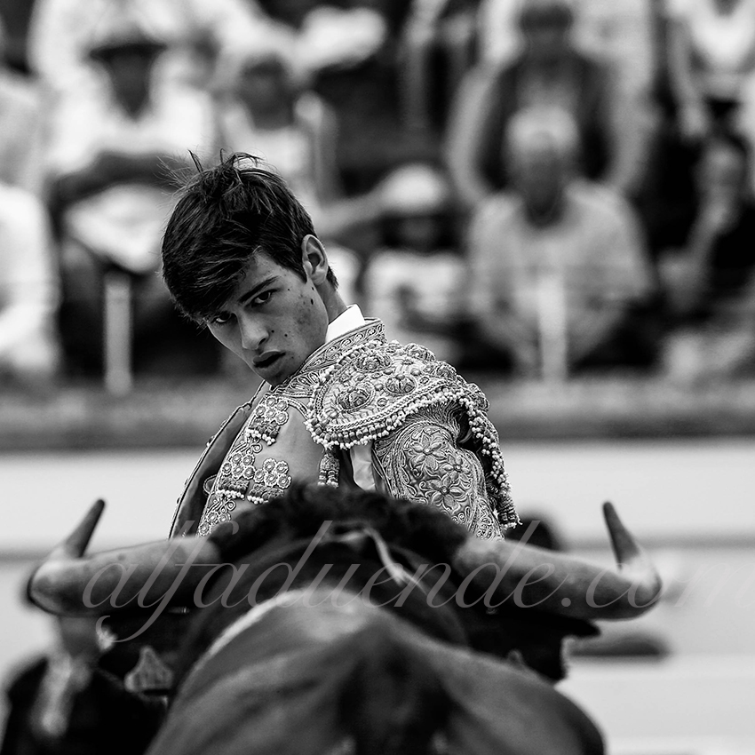 Alfaduende p58a0666 beziers 07 copie