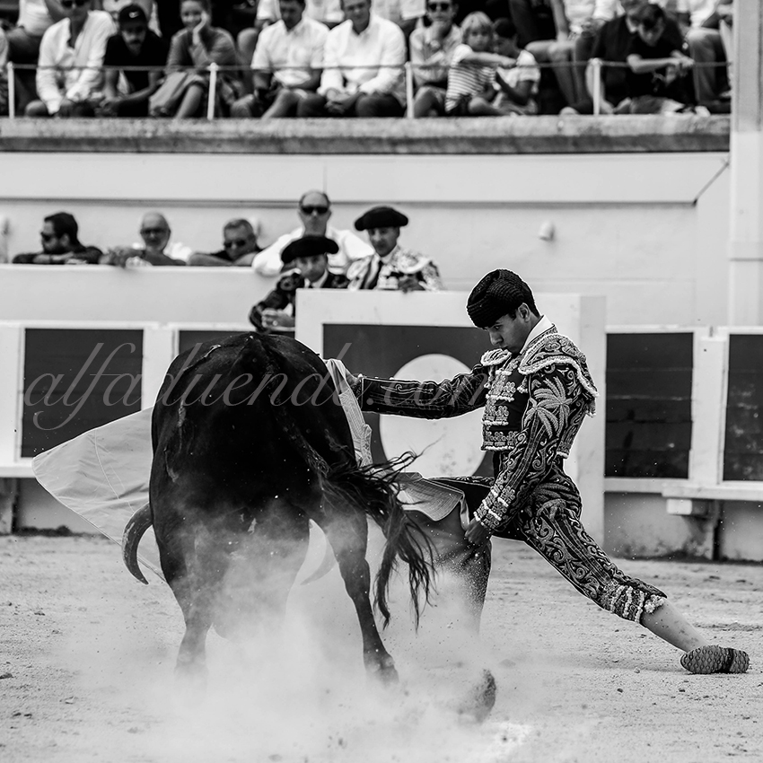 Alfaduende p58a1098 beziers 02 copie