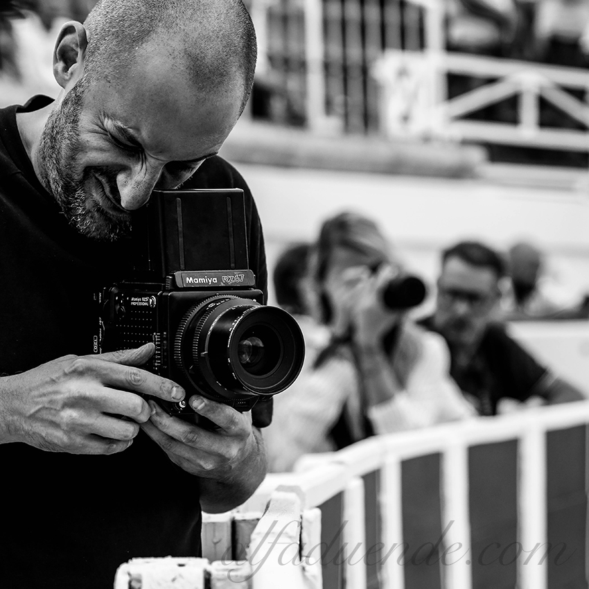 Alfaduende p58a1467 beziers 14 copie