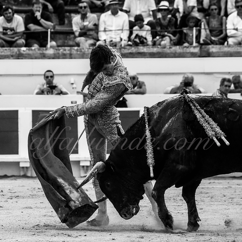 Alfaduende p58a1548 beziers 10 copie