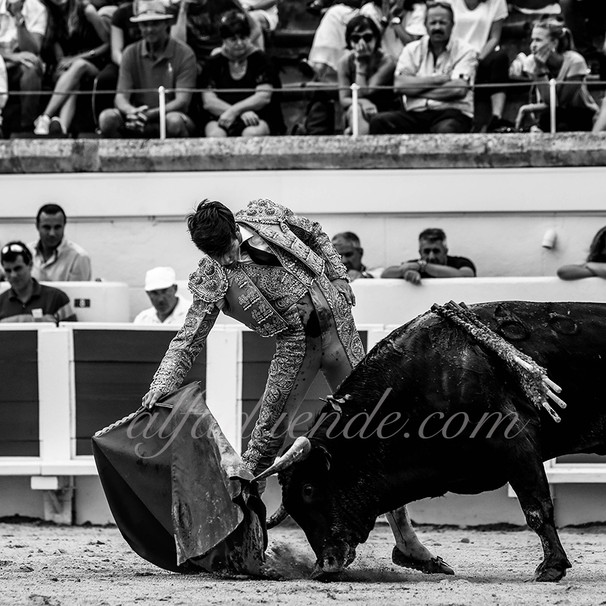 Alfaduende p58a1604 beziers 11 copie