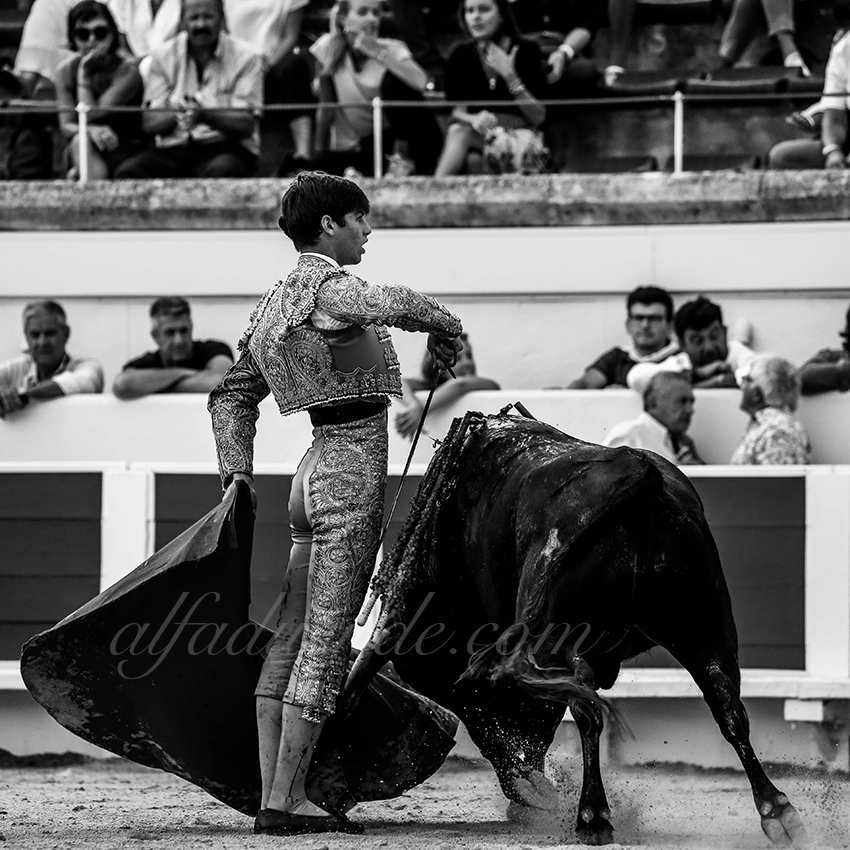 Alfaduende p58a1650 beziers 12 copie