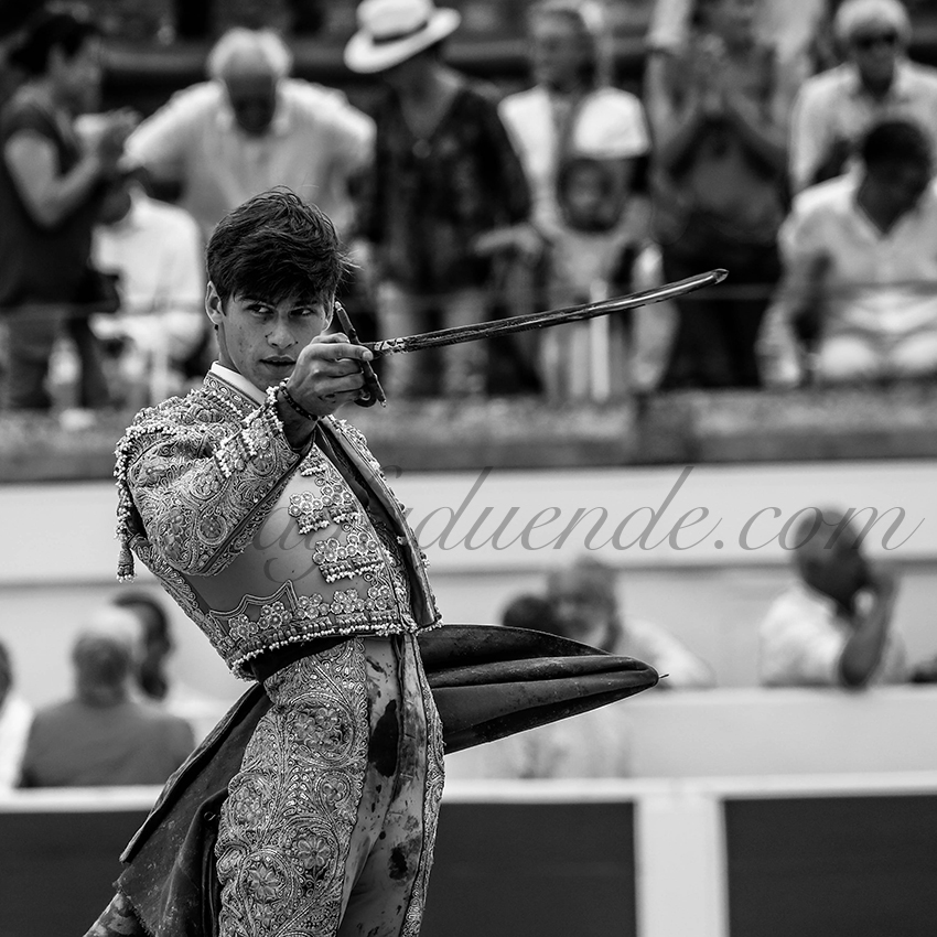 Alfaduende p58a1674 beziers 13 copie