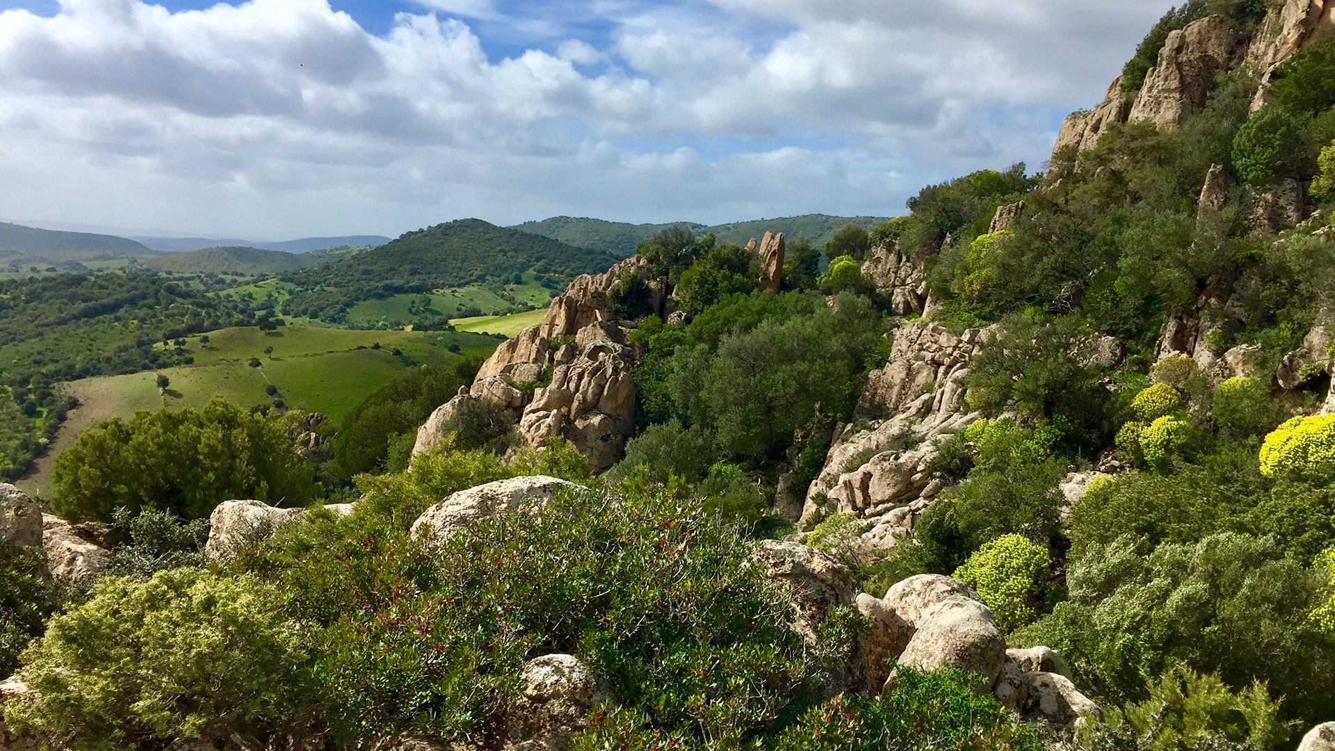 So sardinia26