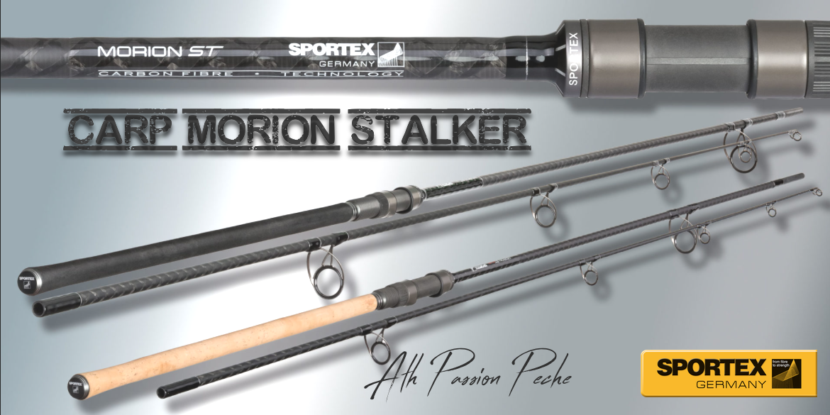 Morion stalker