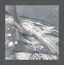 gravure sur verre aquitaine