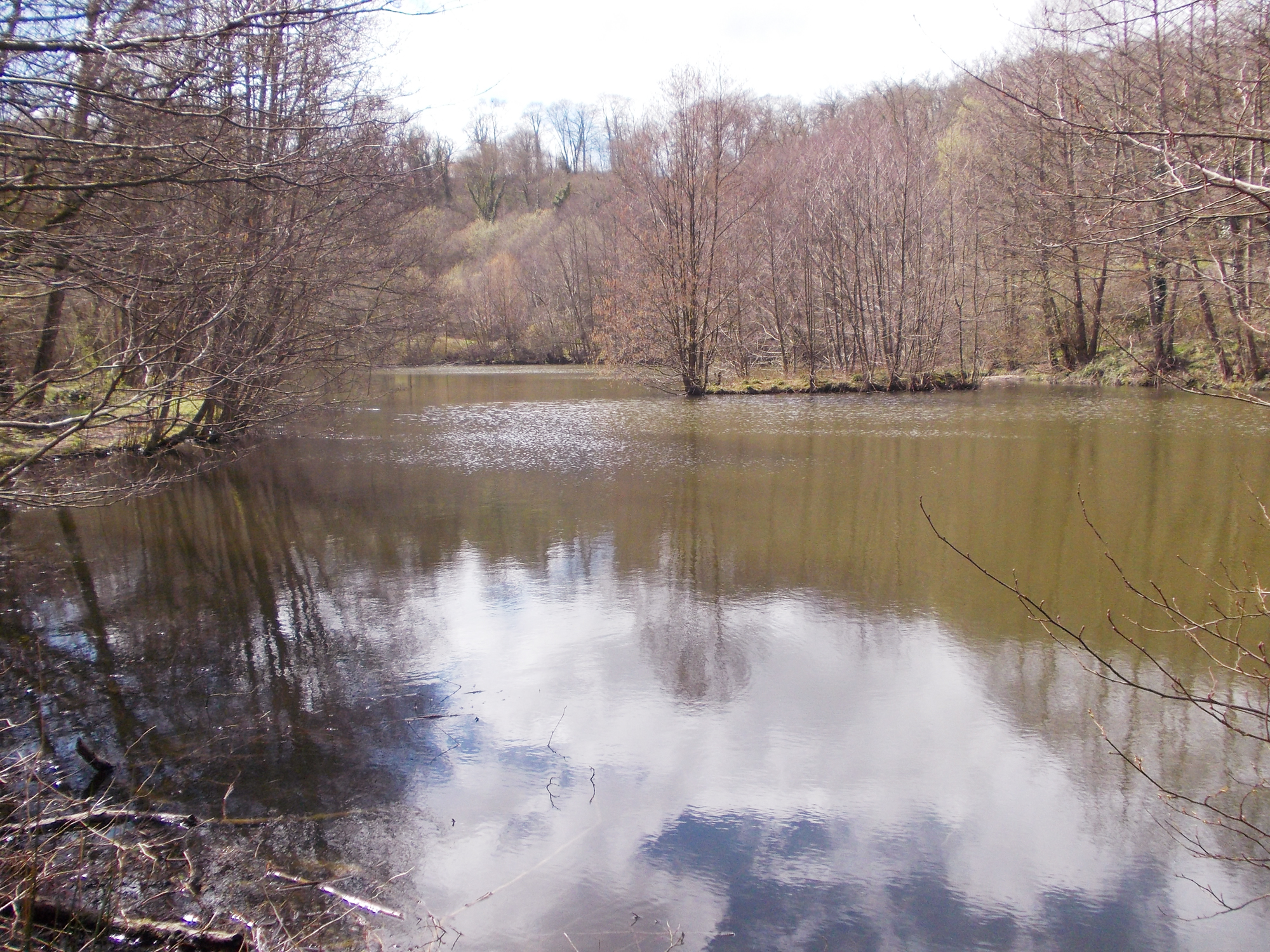 Etang ferme escures