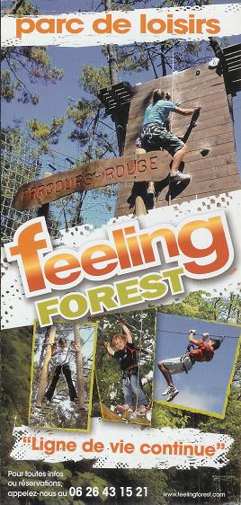 Feeling Forest