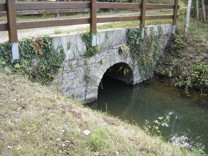 Petit pont1