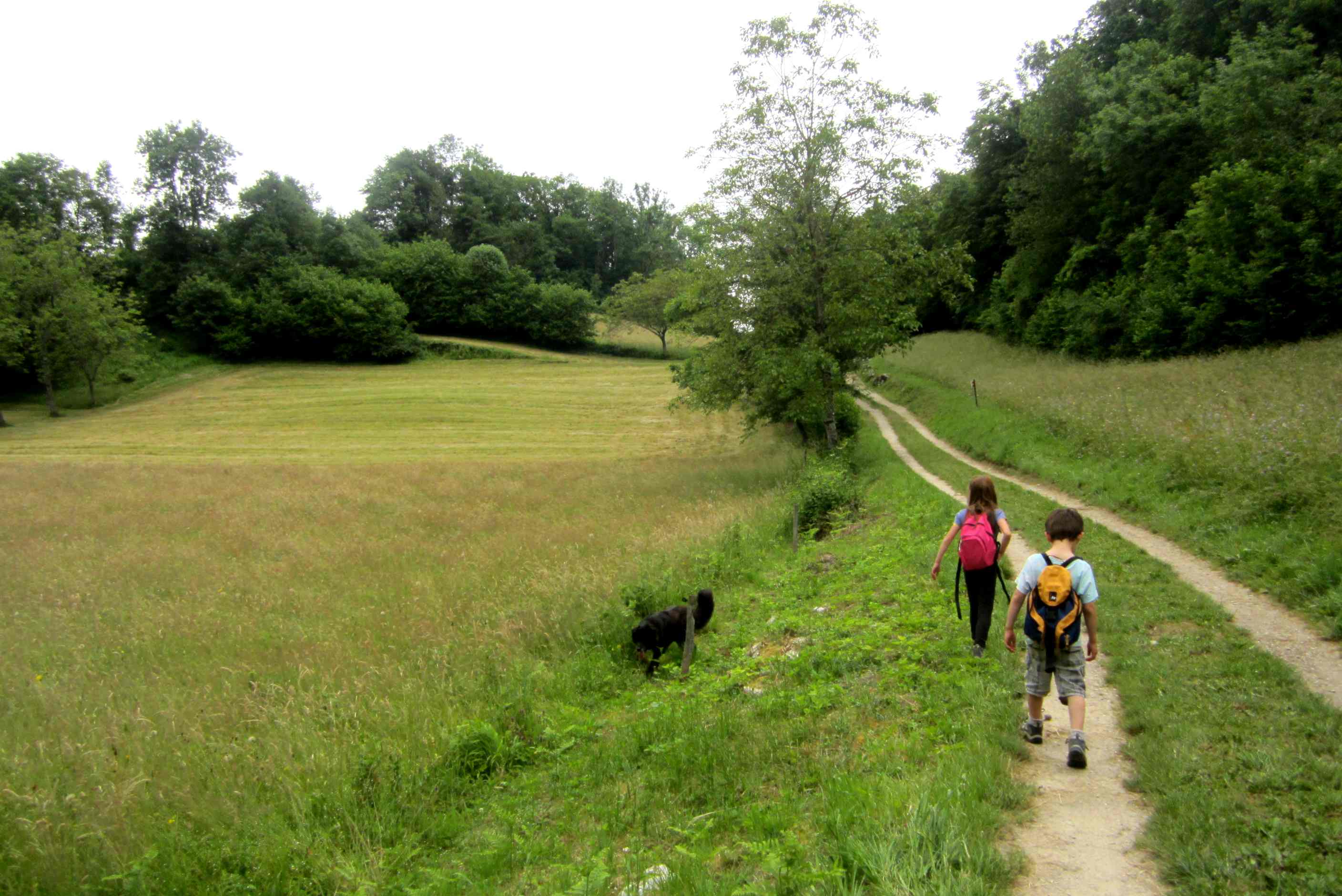 Balade combe du grenand r