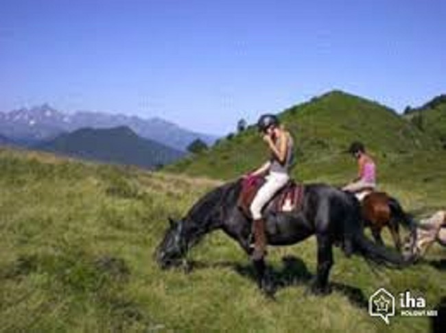 Chevaux