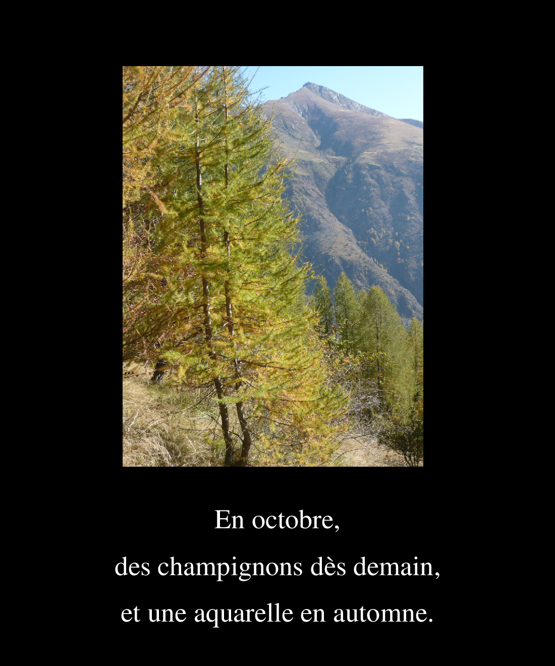 Octobre 2017