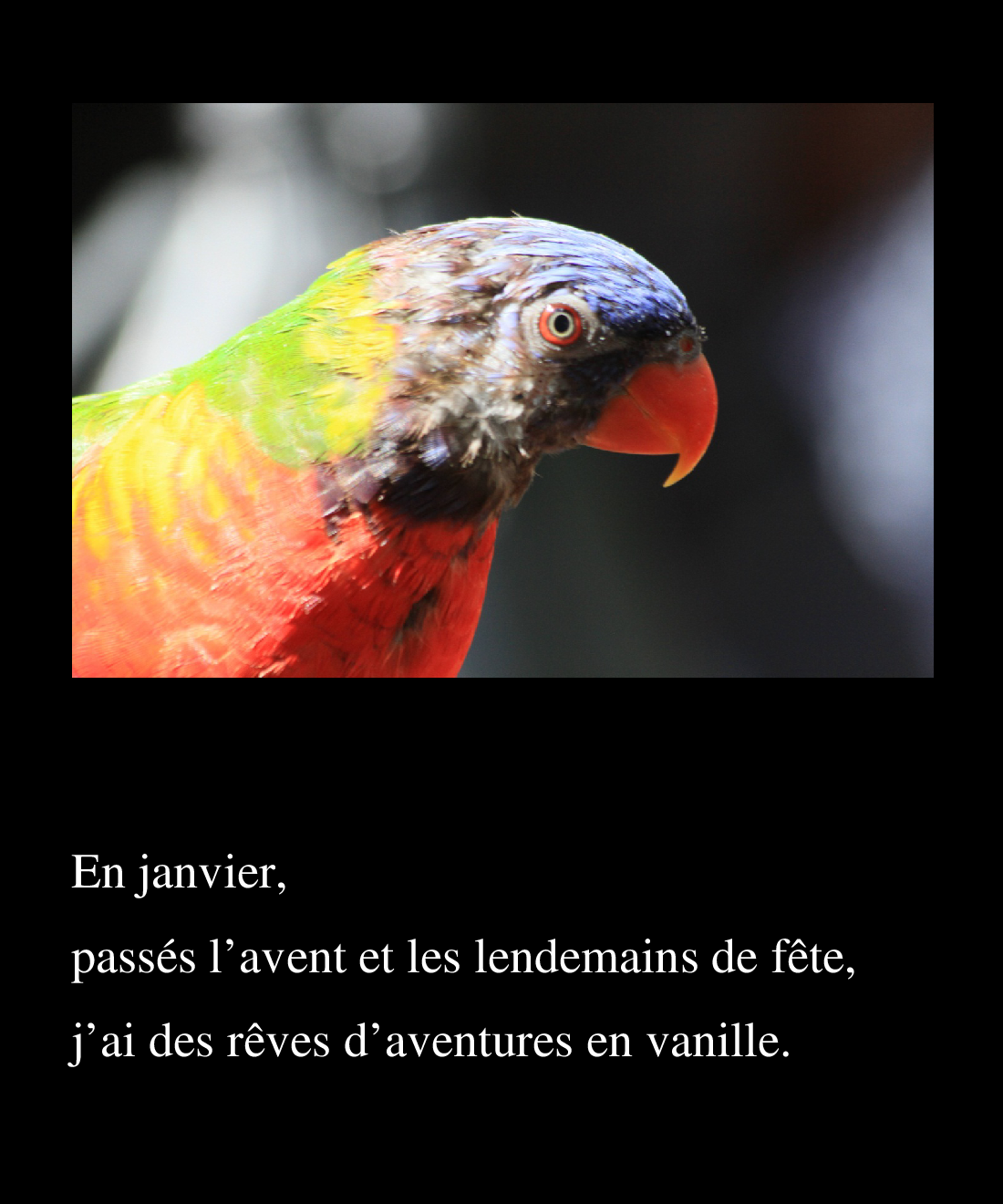 Janvier 2017