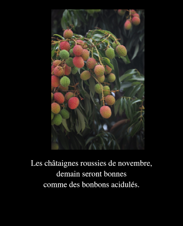 Novembre 2017