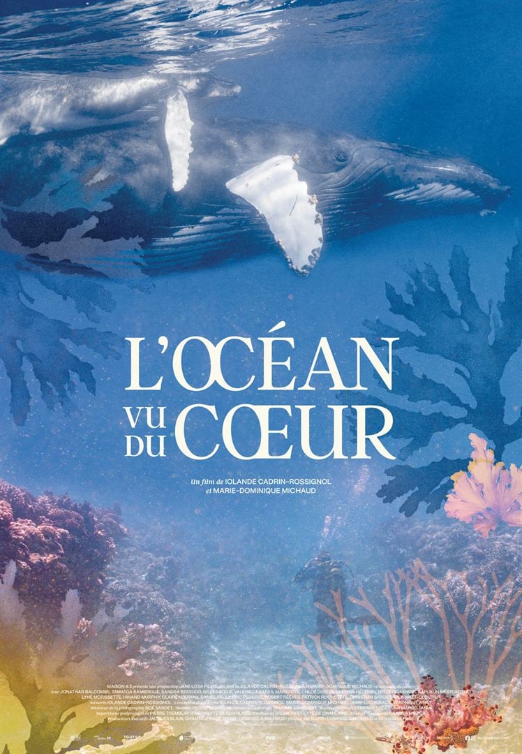 L-ocean-vu-du-c-ur