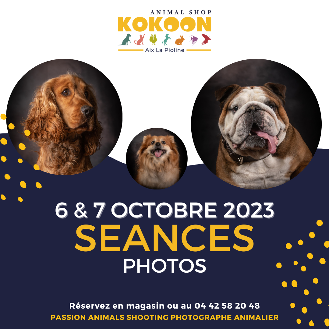 Aix les 6 & 7 octobre
