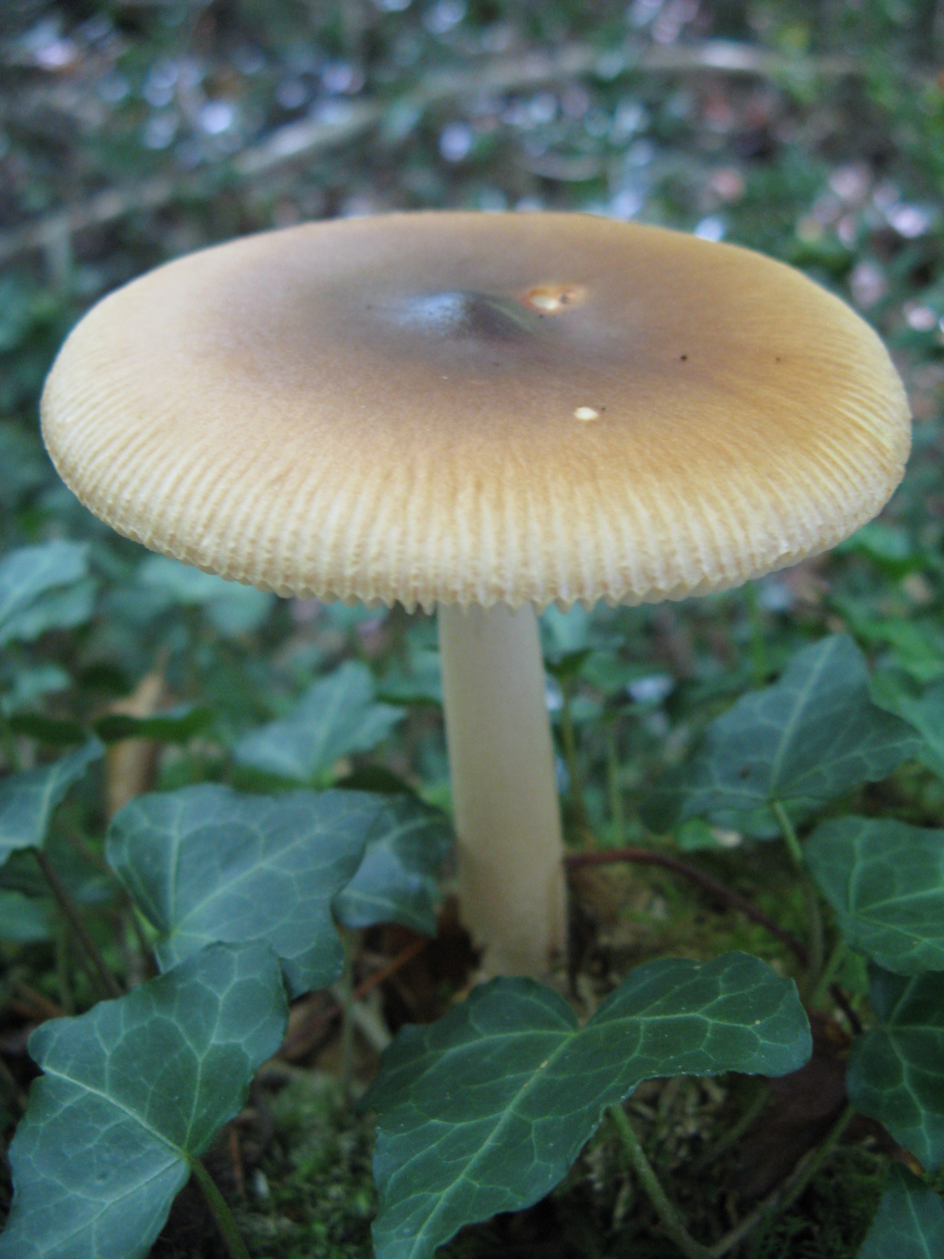 Photo 021