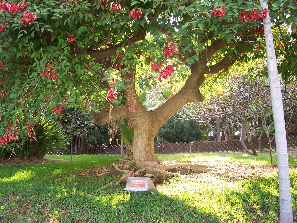Parc majuelo