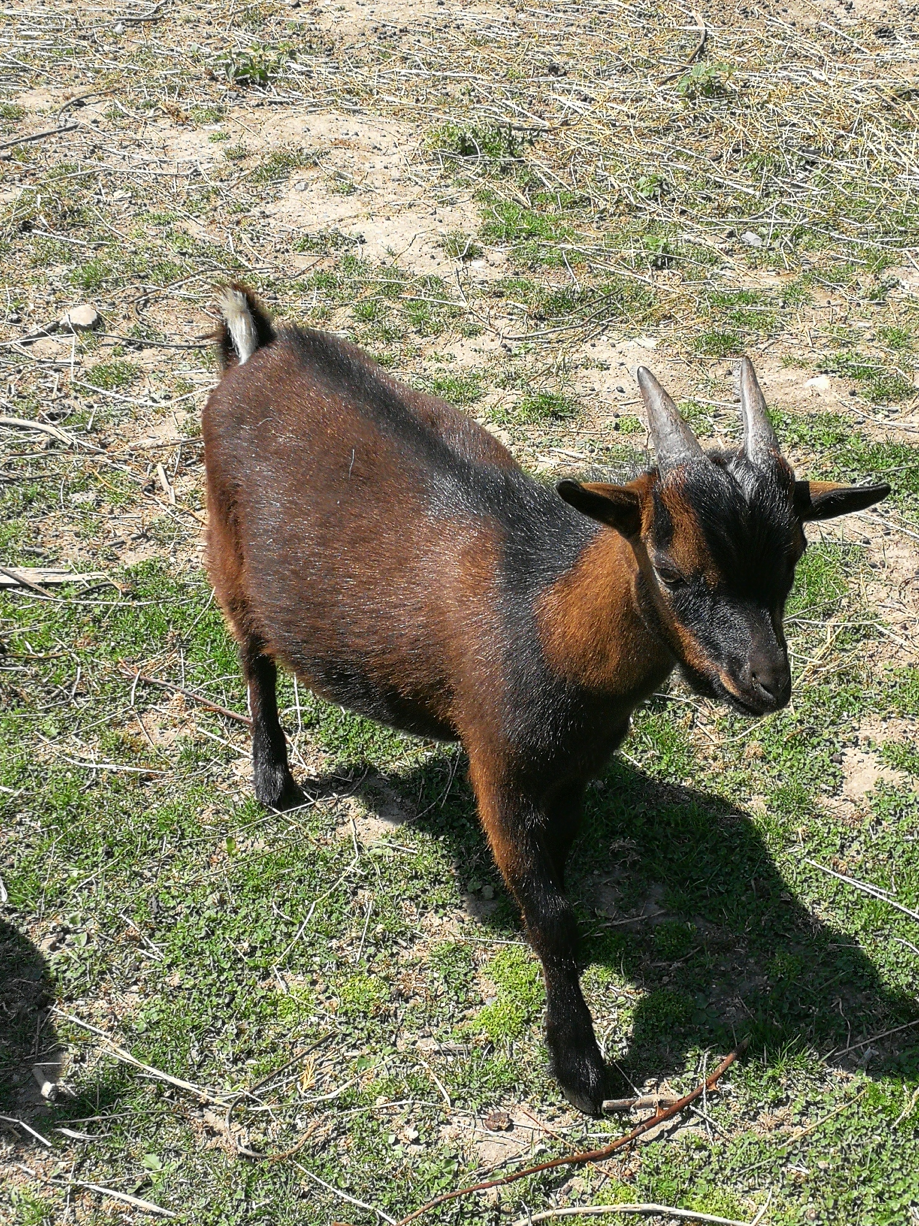 Img 20230706 152345
