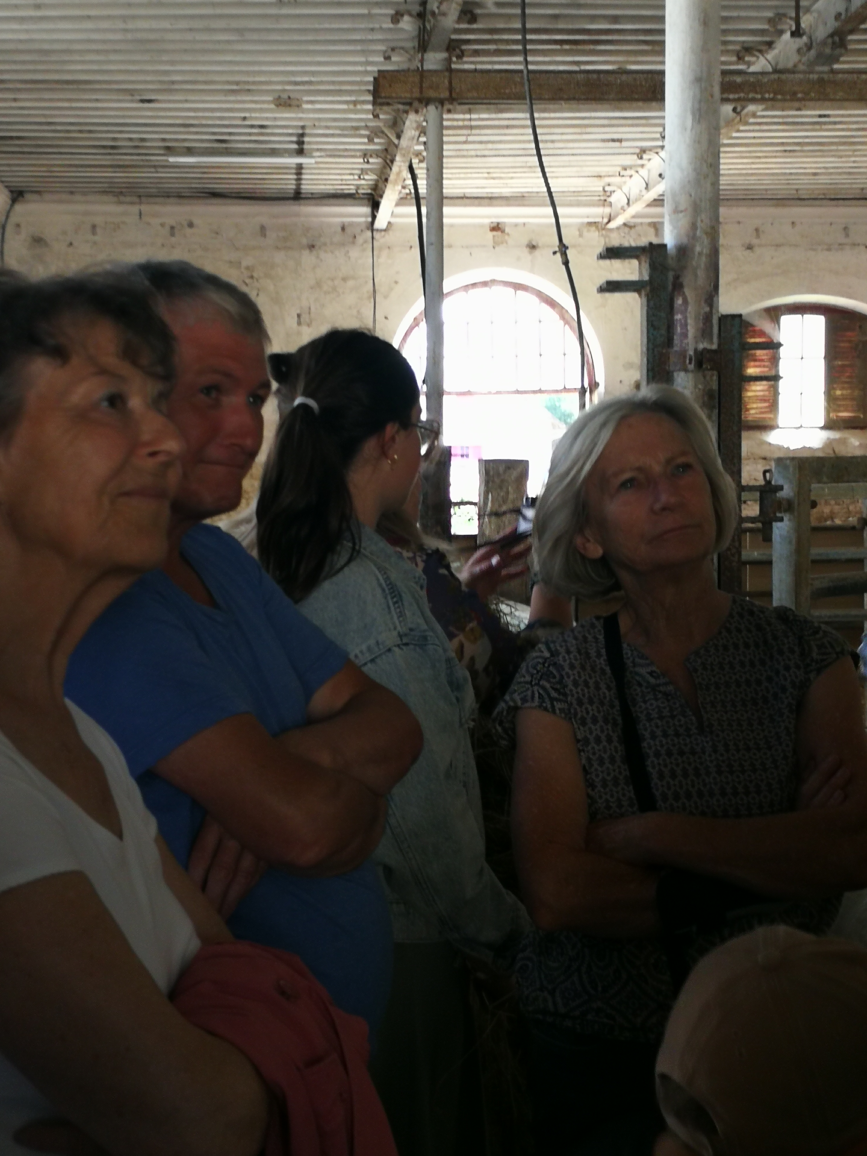 Img 20230706 150556
