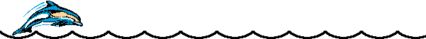 Dauphin 050