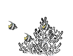 Poisson 142
