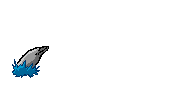 Dauphins 10 