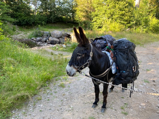 Img 0741