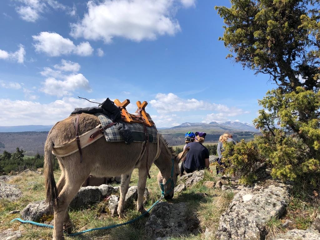 279384346 5078925588823631 5910030266172656240 n