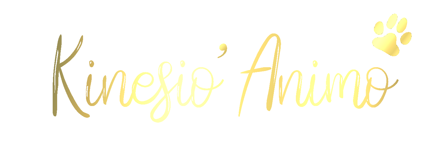 Kinesio-Animo