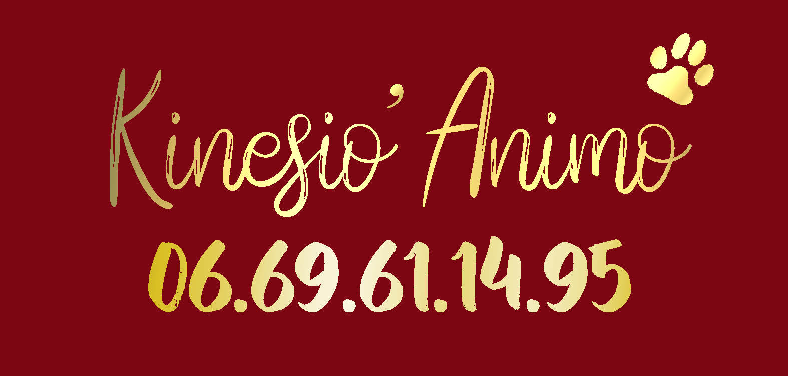 Cabinet-kinesio-animo