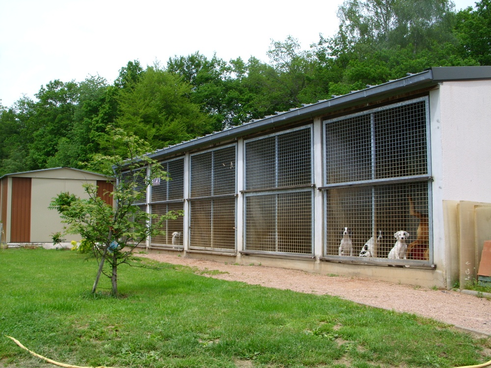 Fourriere 2 fi33404120