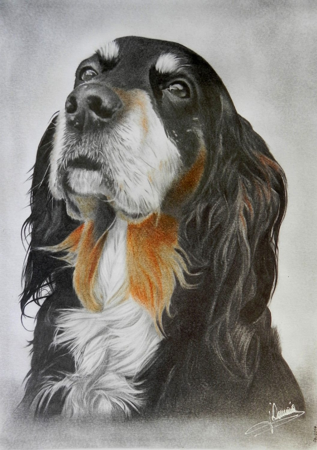 Setter