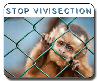 Sv200x160b stop vivisection bordure
