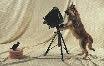 Asterix camera