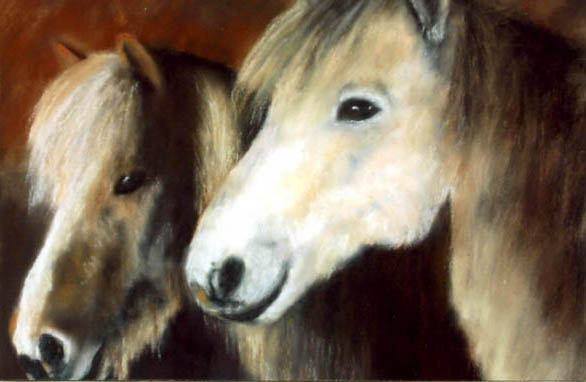B cheveaux blancs 