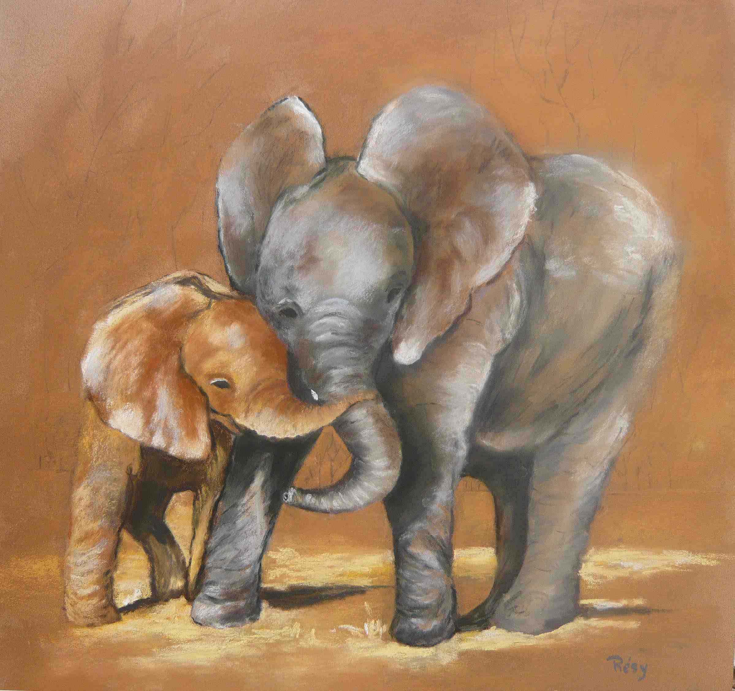 B elephants