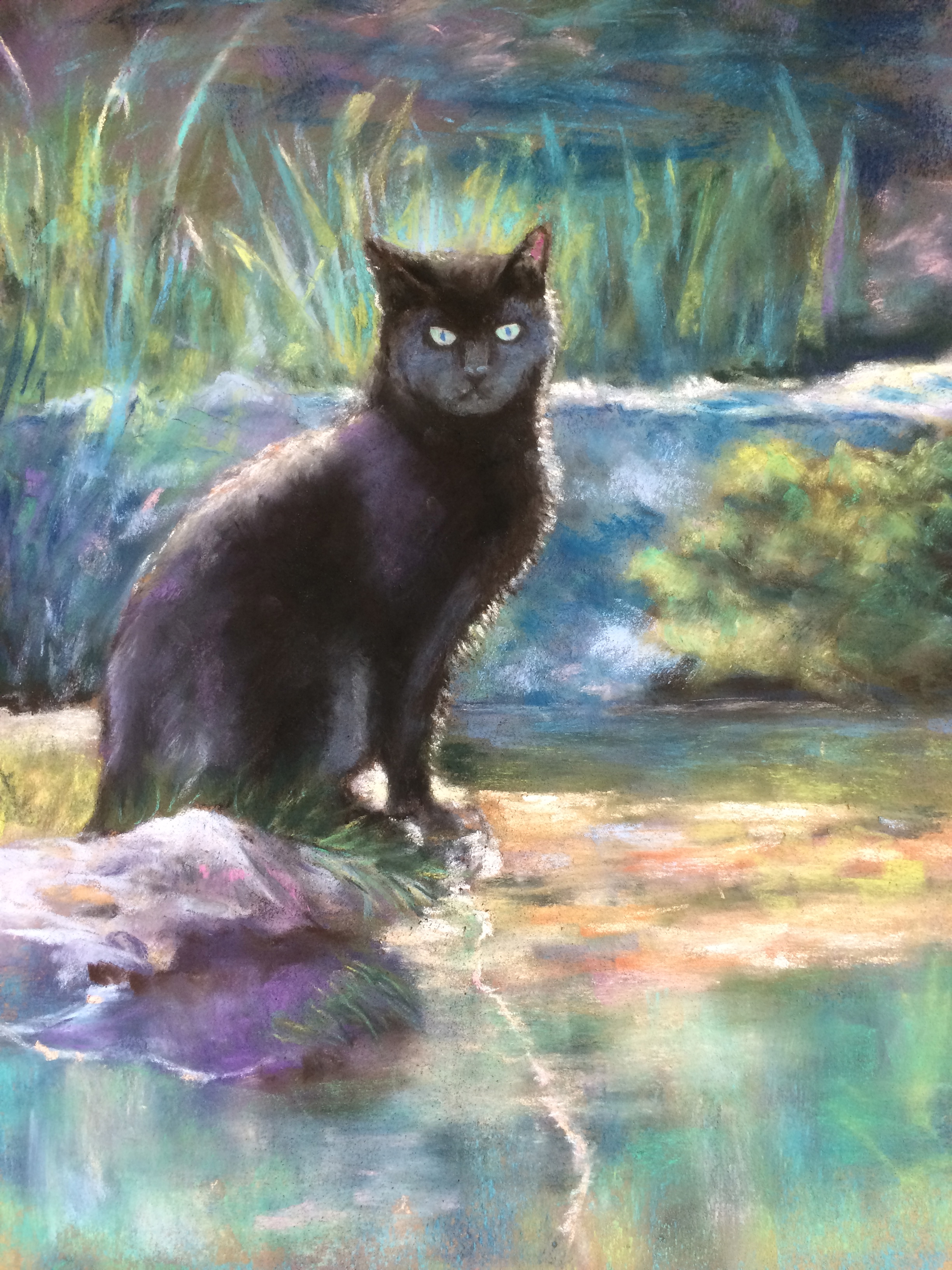 Chat noir